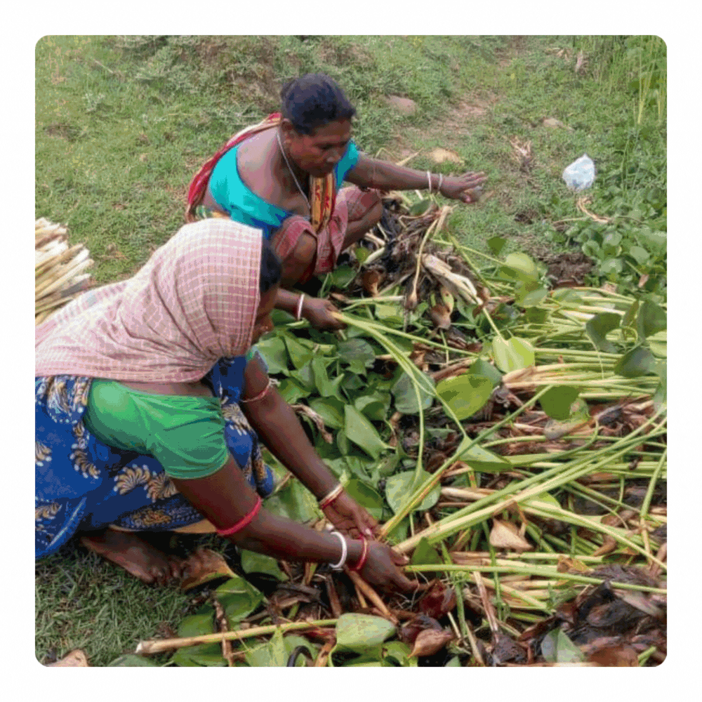 WE IMPACT 4000+ FAMILIES